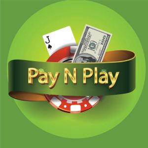 Pay N Play casinon logo